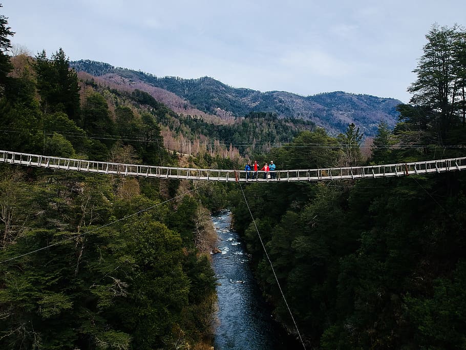 People Standing on Bridge, clouds, daylight, environment, forest HD wallpaper