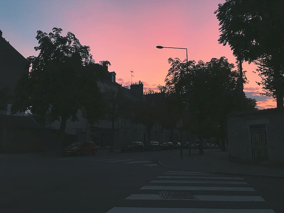 france, dijon, summer, night, city, afterparty, sunset, tree, HD wallpaper