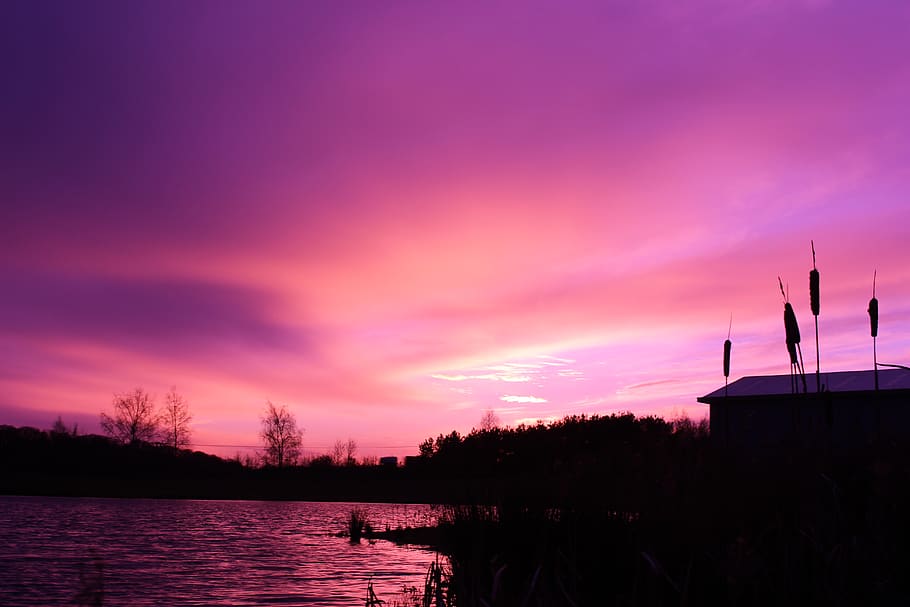 united kingdom, bury saint edmunds, lens, sunset, lake, pink sky