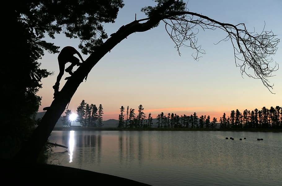 people, man, climbing, tree, plant, lake, water, nature, dark HD wallpaper