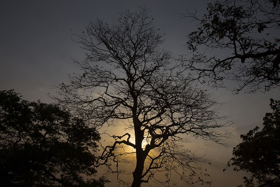 sunrise, sunset, sky, landscape, nature, orange, dawn, dusk HD wallpaper
