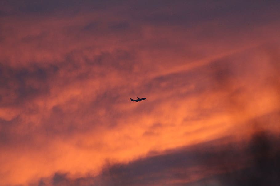 airliner in sky over golden hour, sunset, united states, phoenix, HD wallpaper