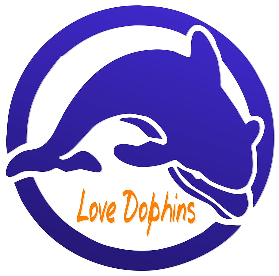 love, friendly, dolphin, fish, animal, blue, graphic, text HD wallpaper