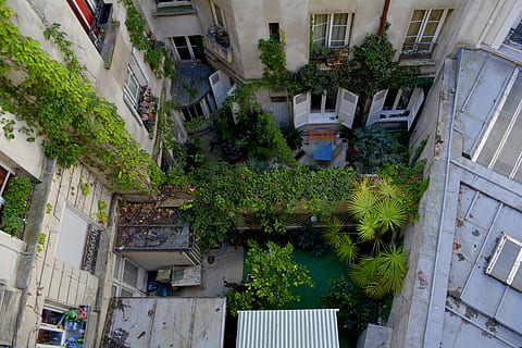 white concrete building, paris, garden, flagstone, outdoors, plant HD wallpaper