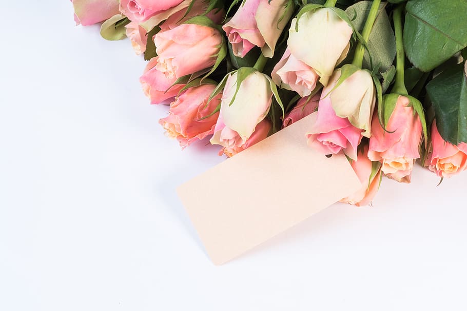 pink, roses, flowers, spring, bouquet, love, birthday, nature HD wallpaper