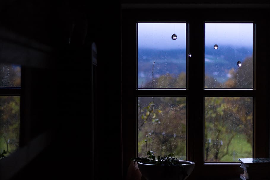 moody, window, contrast, glass - material, transparent, indoors HD wallpaper