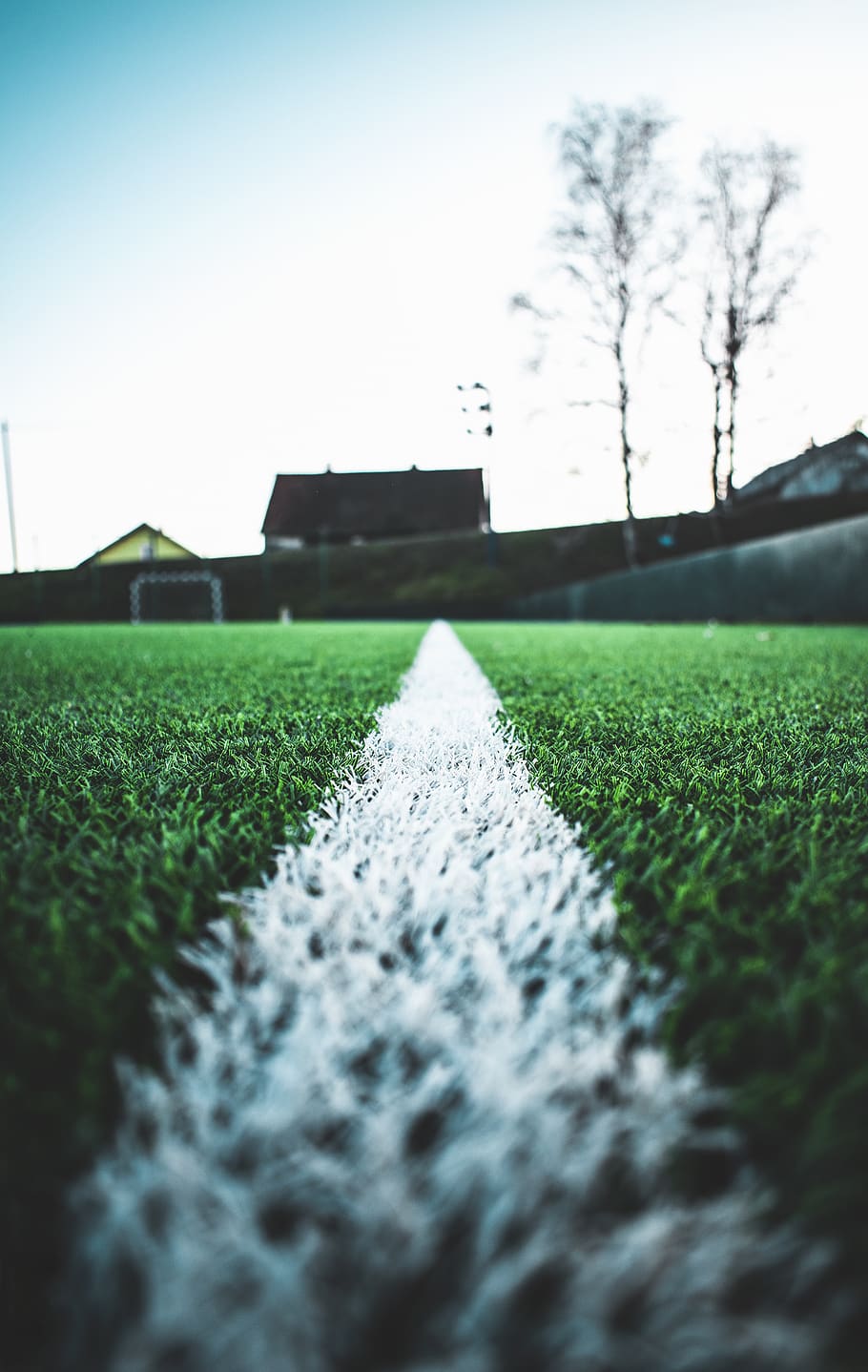 green-grass field, plant, sphere, sky, line, blue, white line HD wallpaper