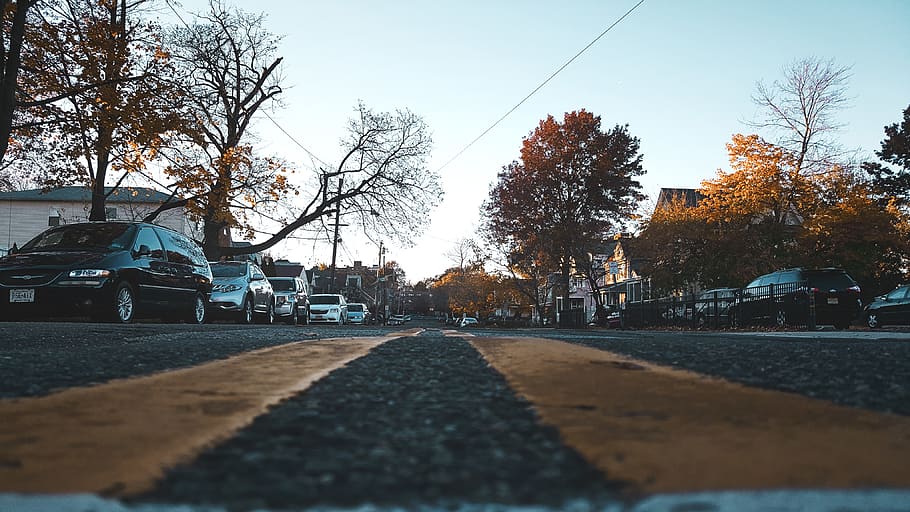 united states, hackensack, tree, transportation, plant, mode of transportation HD wallpaper