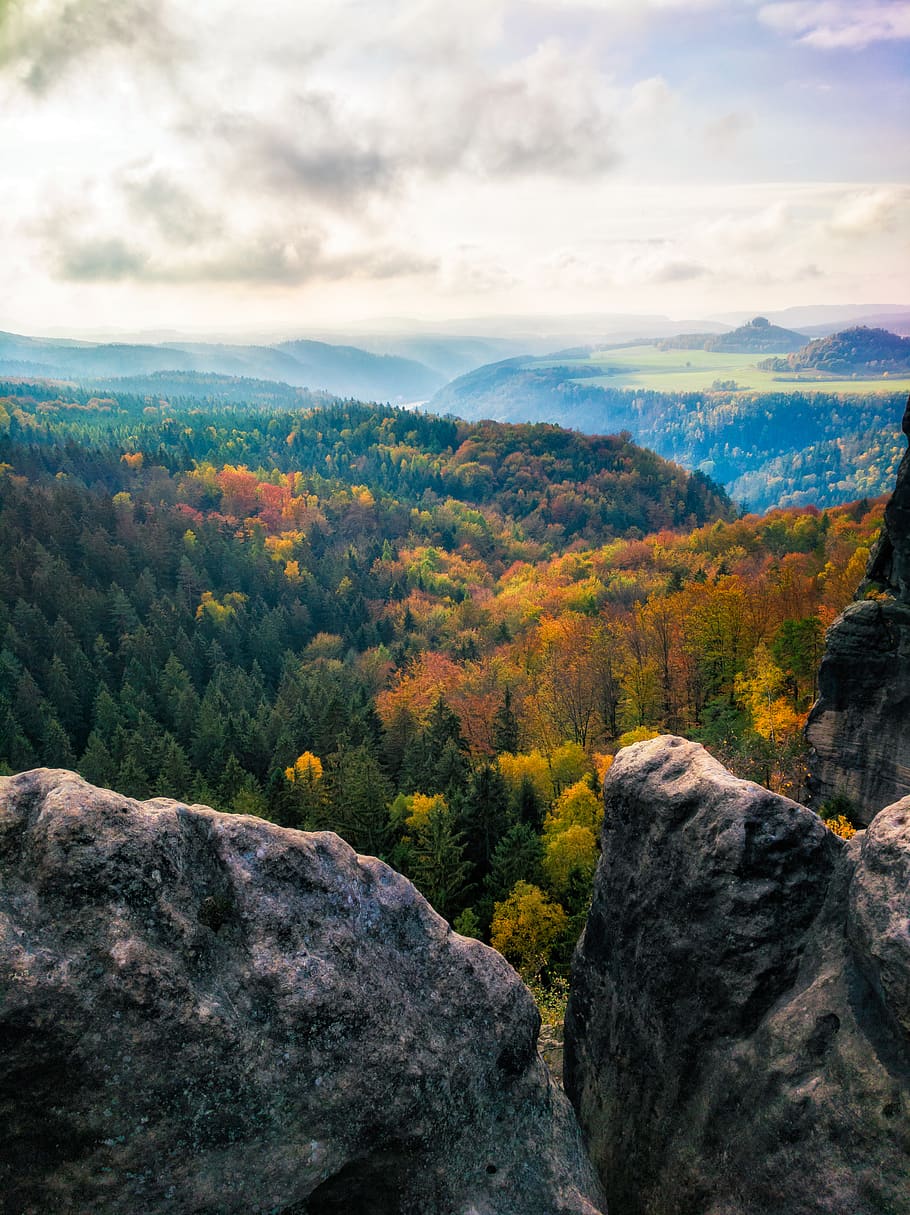 gray rocks and trees, nature, outdoors, mountain, plant, fir HD wallpaper
