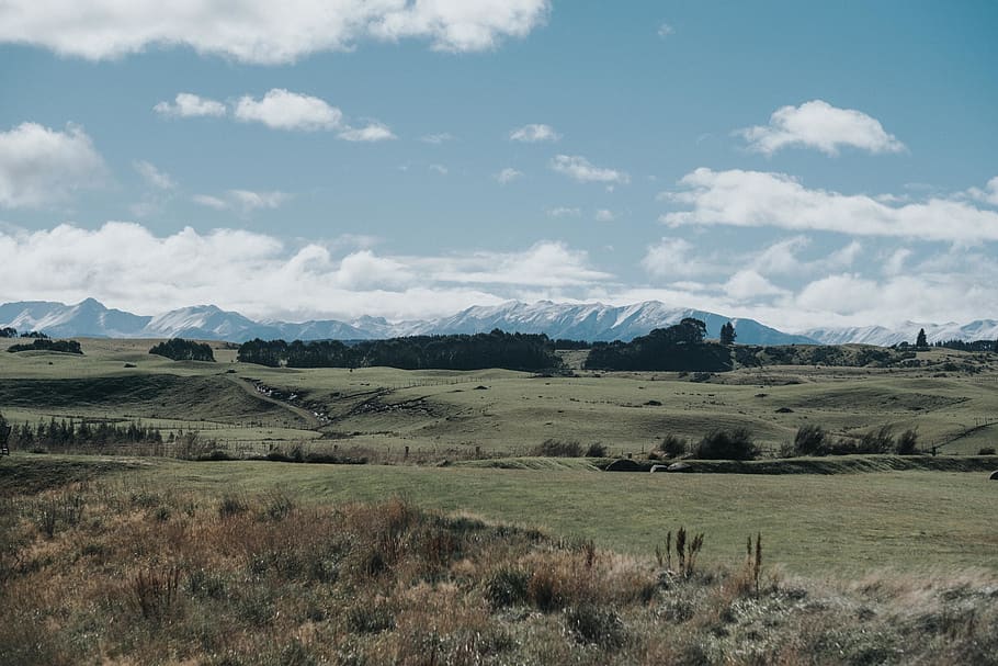 new zealand, te anau, te anau lodge, grass, field, mountains, HD wallpaper