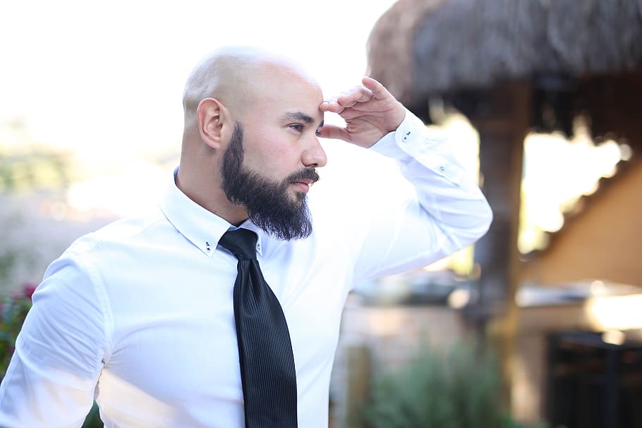 determination, vision, man, bald, beard, observing, executive HD wallpaper
