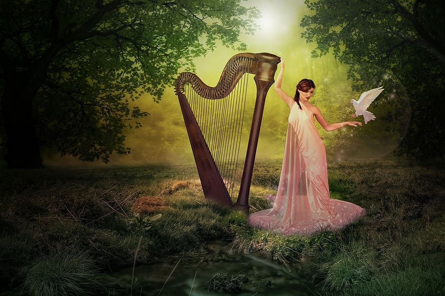 harp, forest, fairy, pigeon, women, one person, full length