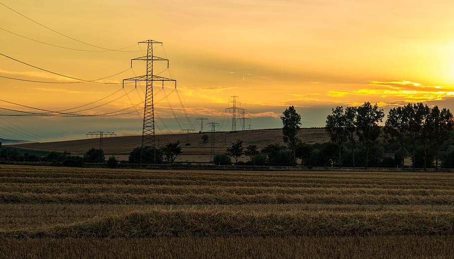 summer, harvest, sun, sunset, nature, agriculture, field, wheat HD wallpaper