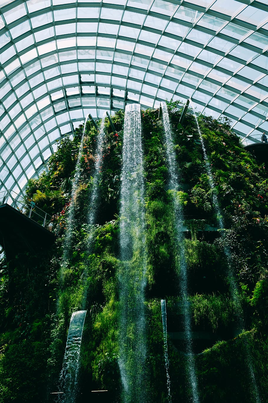 waterfalls inside building, window, outdoors, greenhouse, garden HD wallpaper