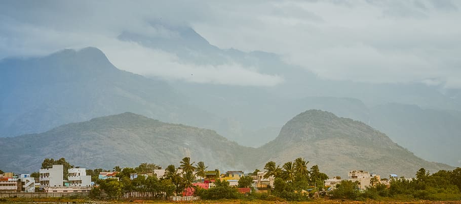 white building with trees, india, palani, mountain, outdoors HD wallpaper