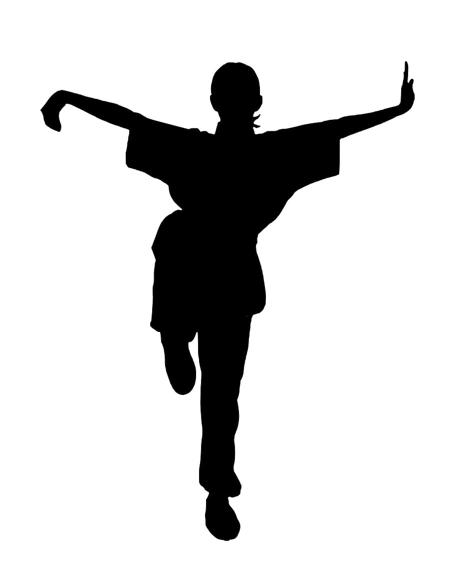 Silhouette of martial artist in kicking pose., kung fu, wushu