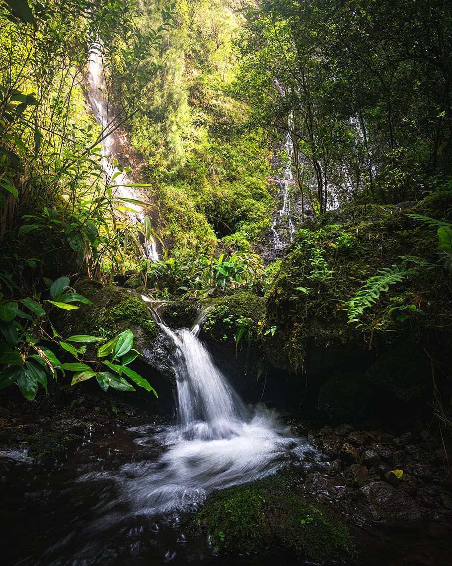 waterfall, green, lush, jungle, hawaii, tropical, adventure