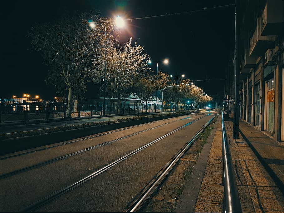 rails, train, city, night, lights, trees, shadows, grass, sea HD wallpaper