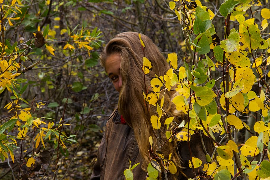 leaves, fall, nature, yellow, plant, plant part, leaf, one person HD wallpaper