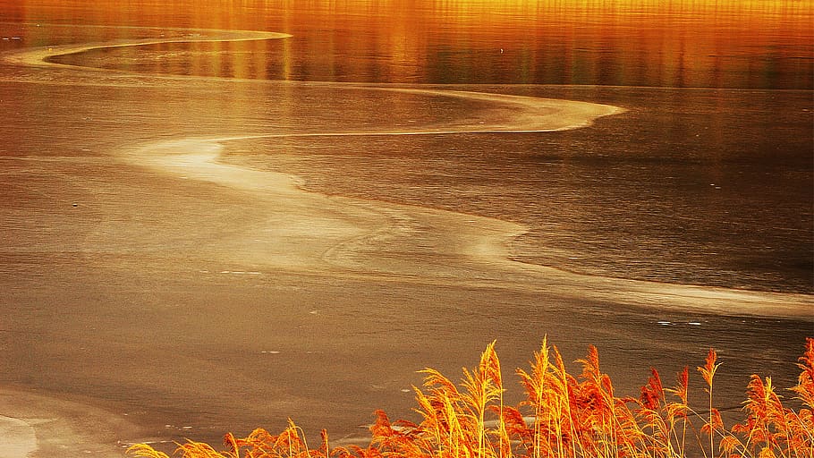 sea, water, coast, beach, morning, sichuan, gangneung, korea HD wallpaper
