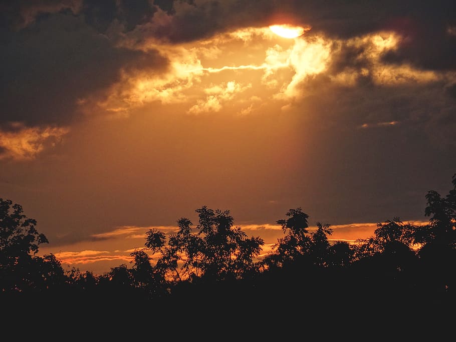 sun, sunset, orange, sky, burn, trees, clouds, silhouette, beauty in nature HD wallpaper