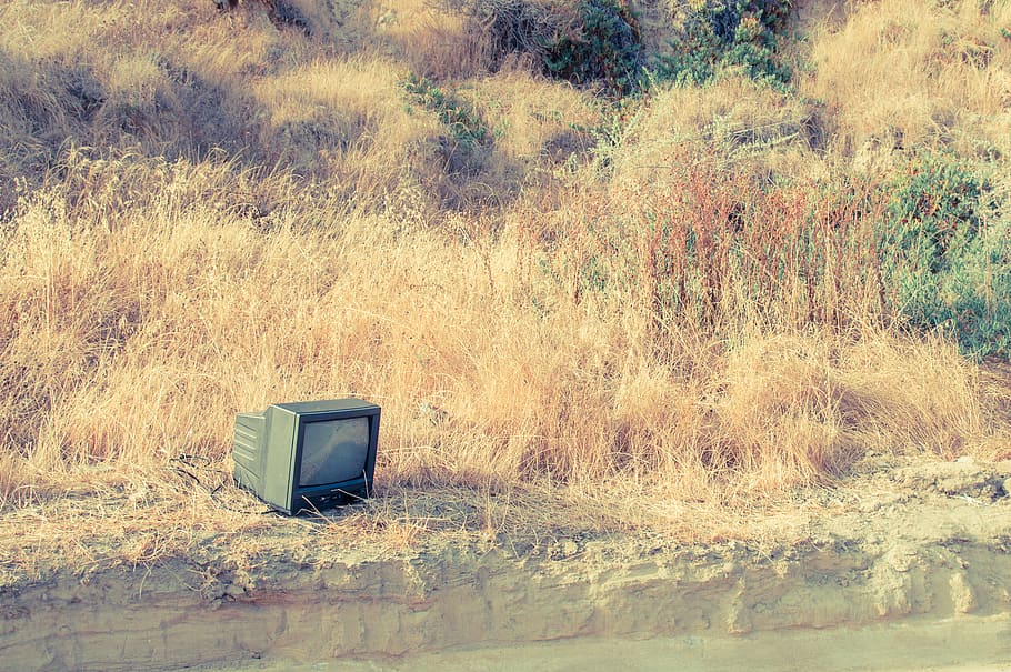 tv, field, plant, no people, tree, nature, day, television set HD wallpaper