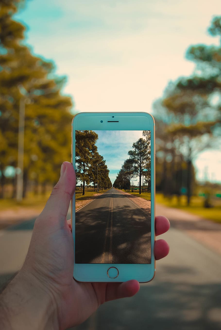 phone, cell phone, mobile phone, electronics, person, human HD wallpaper