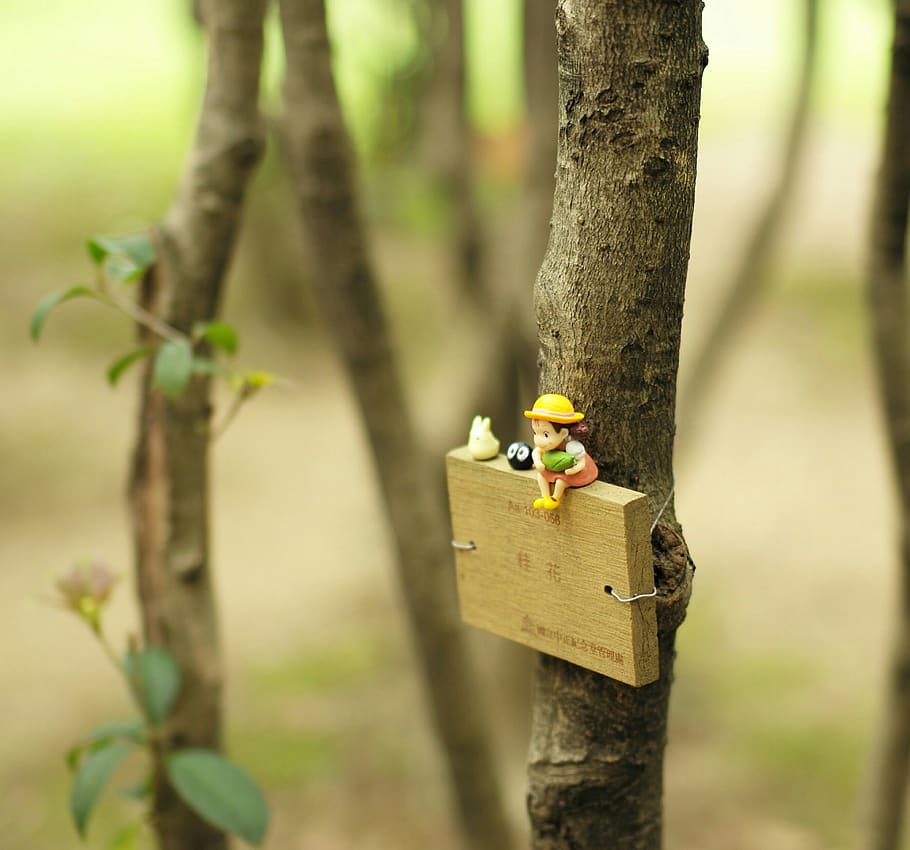 plant, tree, trunk, tree trunk, nature, day, land, toy, focus on foreground HD wallpaper