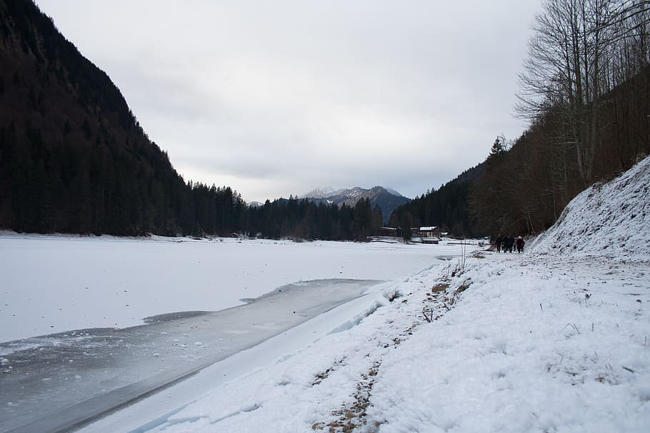 trees, lake, forest, snow, zing, cold, winter, cold temperature HD wallpaper