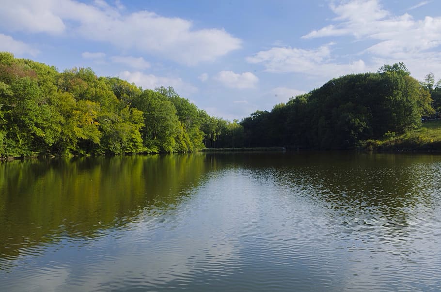 trees, lake, park, sky, water, plant, beauty in nature, scenics - nature HD wallpaper