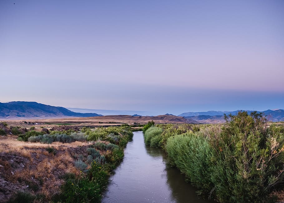 canal, stream, river, water, bushes, desert, sunrise, purple HD wallpaper