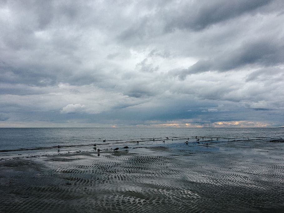 Birds on Baltic sea, sky, cloud - sky, water, scenics - nature HD wallpaper