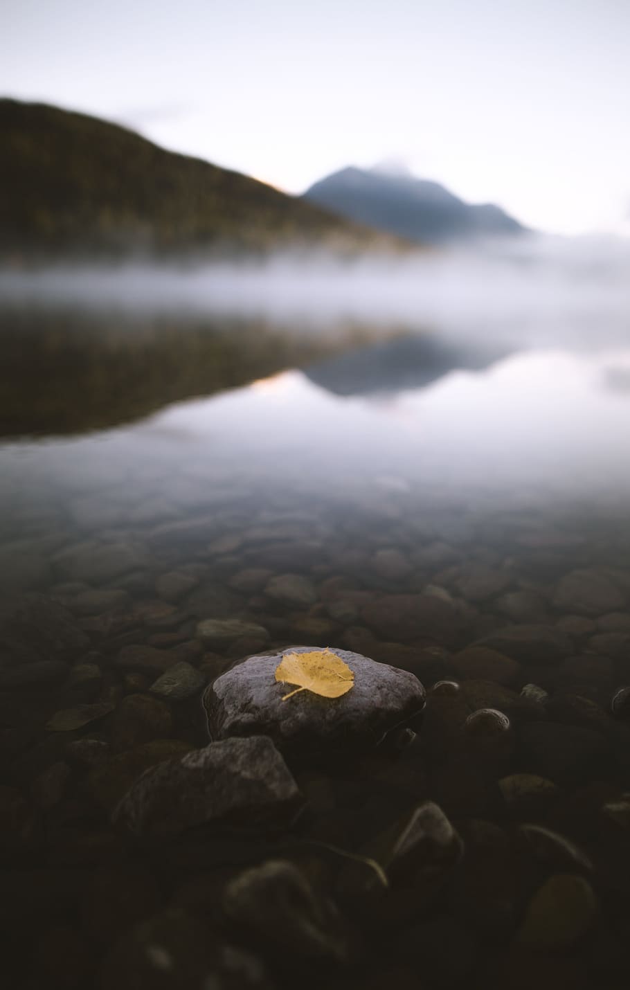 gray rocks, water, leaf, stone, outdoors, landscape, lake, mountain HD wallpaper