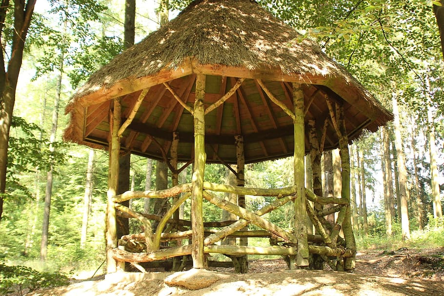lodge, forest, jungle, wild, woods, construction, architecture HD wallpaper