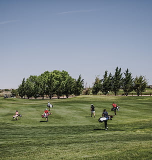 People Walking on Green Grass Field Carrying Golf Bags, action HD wallpaper
