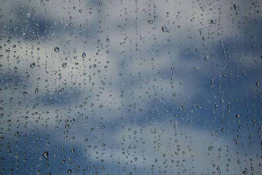 rain, raining day, after the rain, drop, drops, drop water HD wallpaper