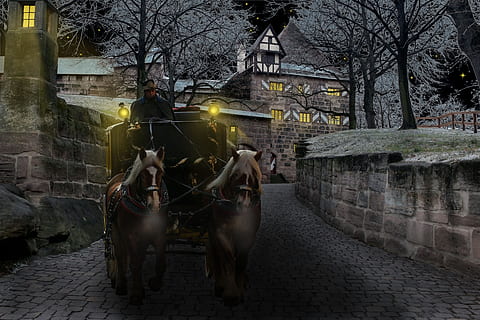 winter, cold, ride, tonga, horse, human, activity, transport HD wallpaper