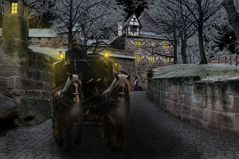 winter, cold, ride, tonga, horse, human, activity, transport HD wallpaper