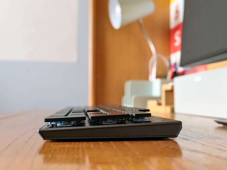 electronics, computer keyboard, hardware, computer hardware HD wallpaper