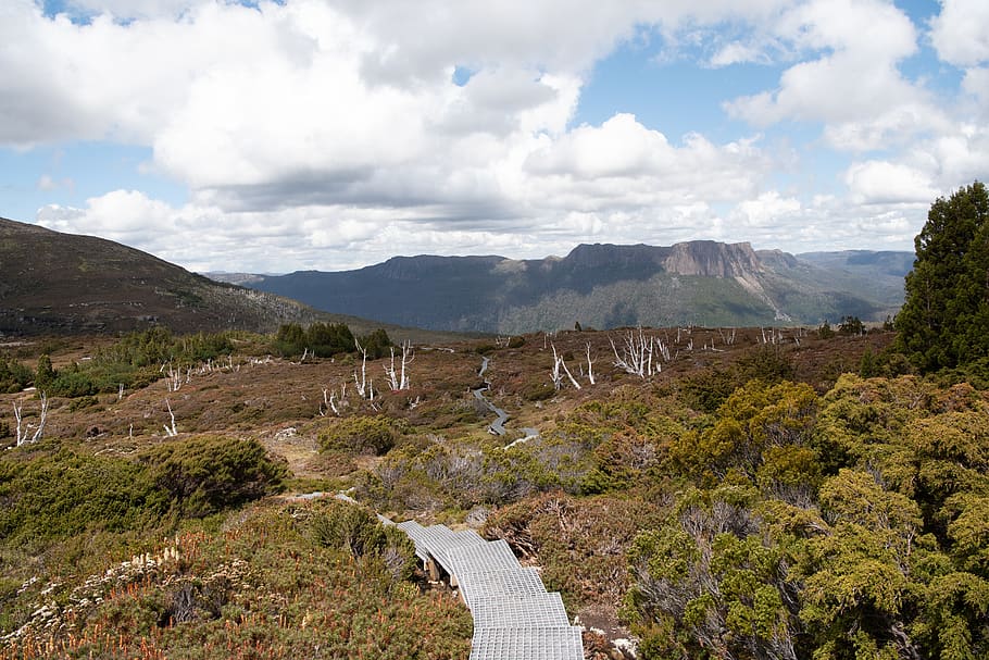 overland track, tasmania, nature, wilderness, landscape, scenic, HD wallpaper