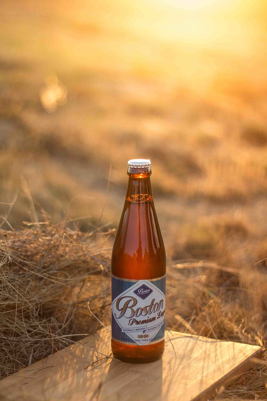 Boston premium bottle, container, nature, land, food and drink HD wallpaper
