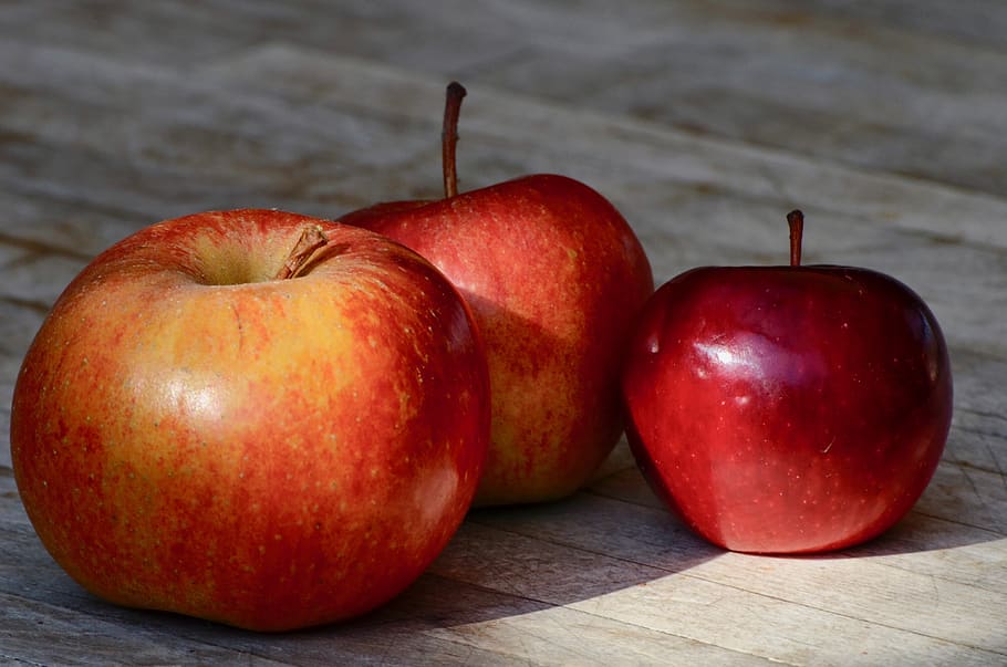 apple, fruit, red, healthy, vitamins, ripe, autumn, food, eat HD wallpaper