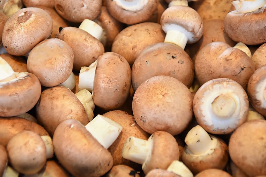 brown-mushrooms.jpg