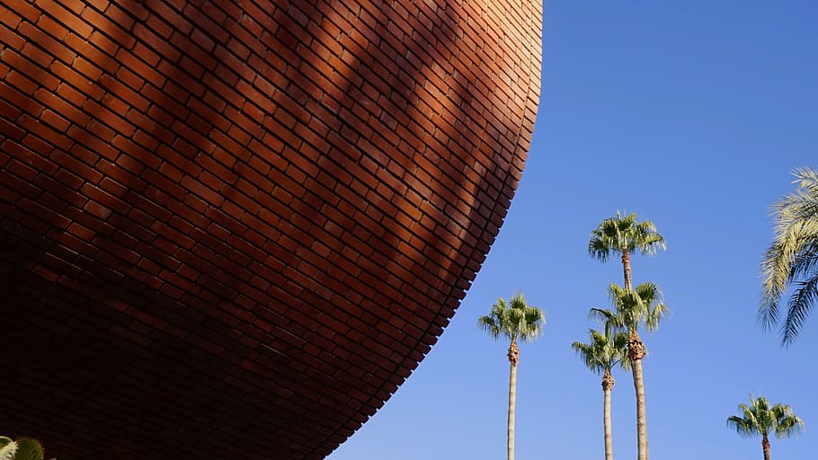 red brick wall during daytime, arecaceae, palm tree, plant, outdoors HD wallpaper