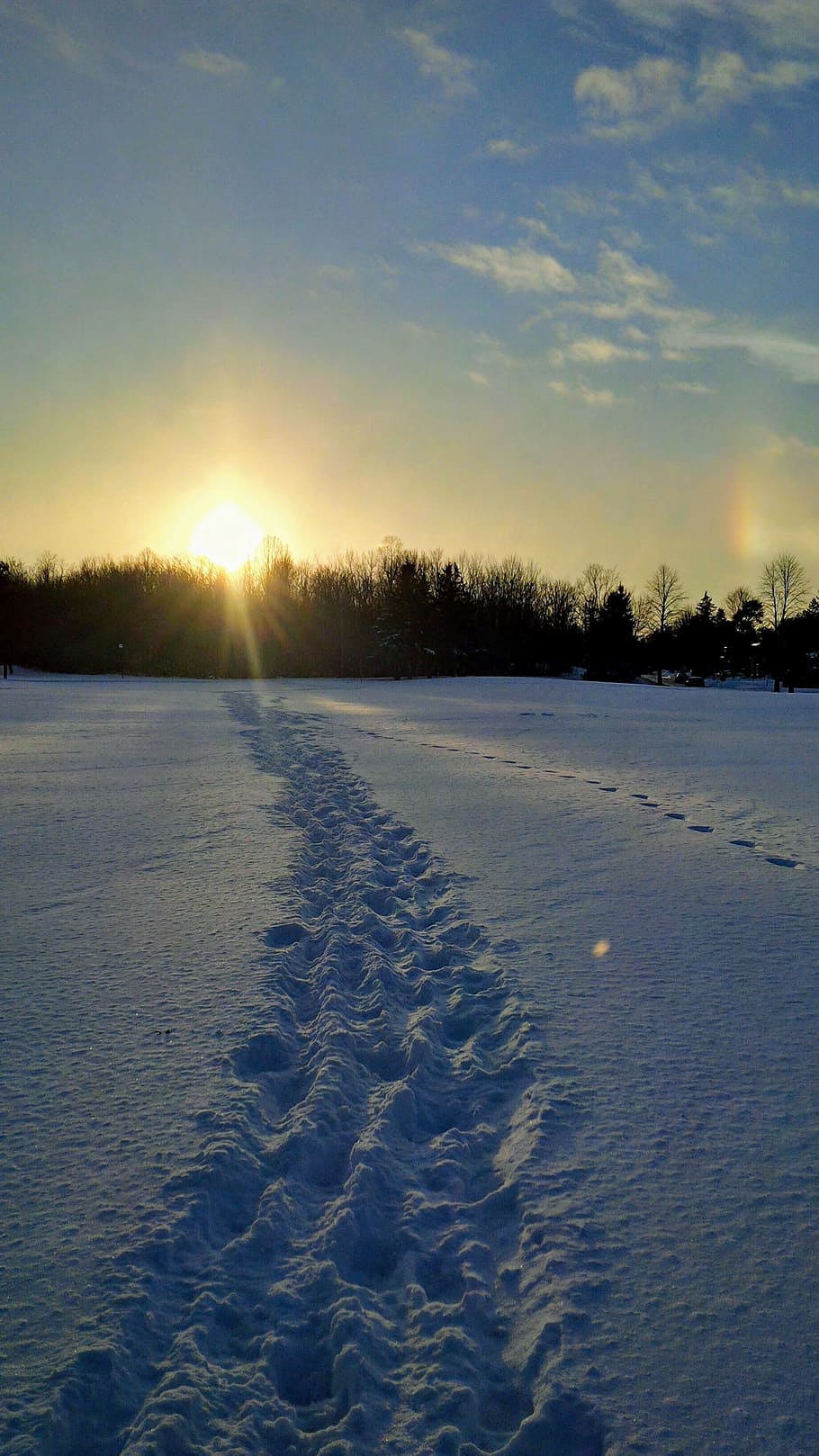 light, flare, sunlight, snow, winter, outdoors, nature, canada HD wallpaper