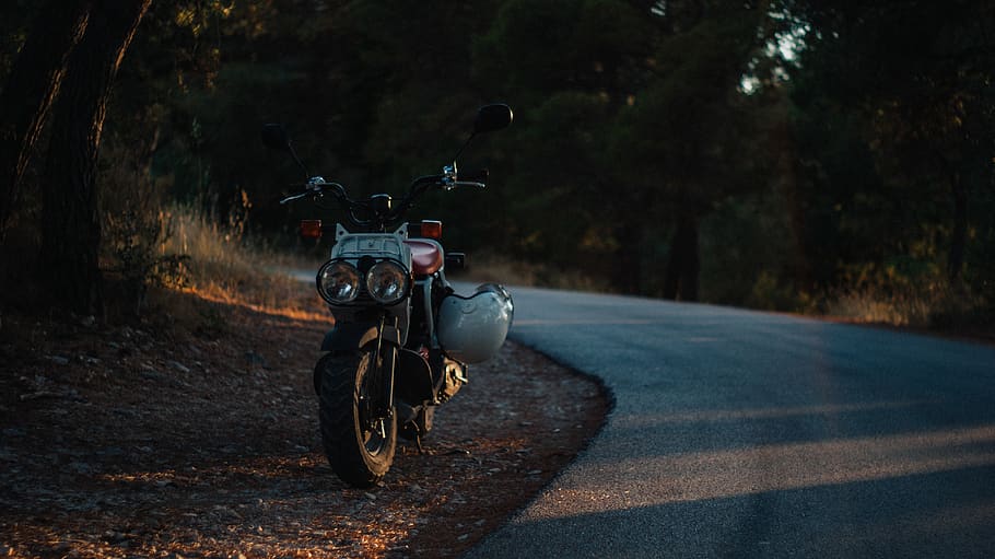 croatia, supetar, road, forest, motorcycle, bike, transportation HD wallpaper