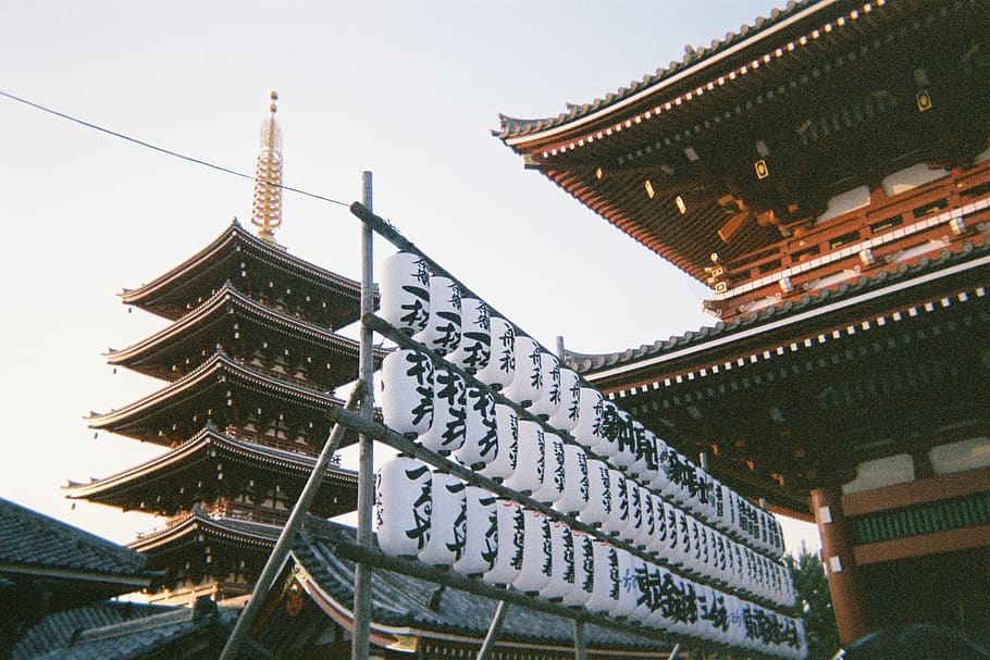 white-and-black decors, temple, pagoda, building, architecture HD wallpaper