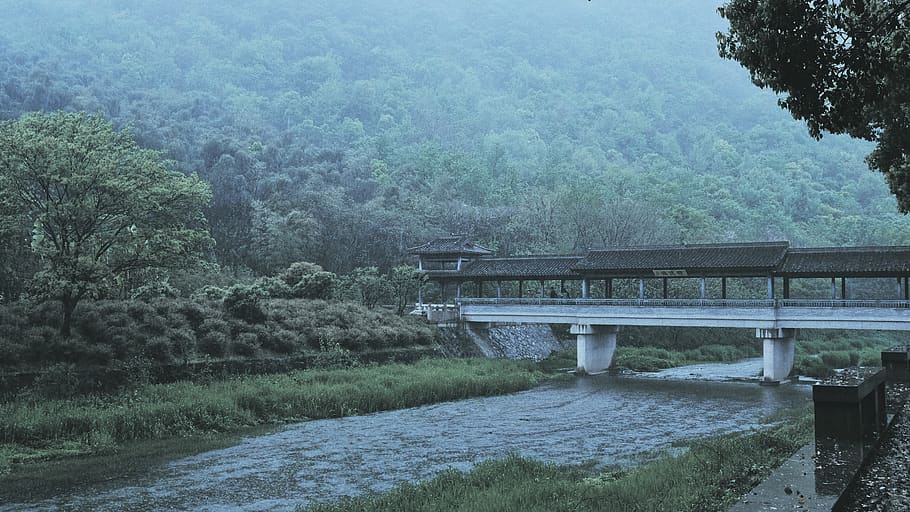 road, way, outdoors, building, nature, bridge, water, overpass HD wallpaper