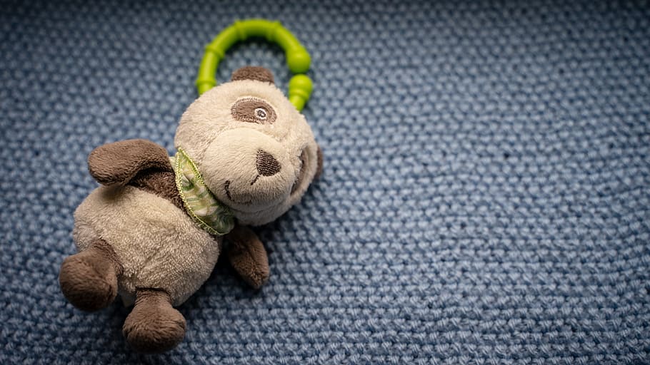teddy bear, soft, toys, brown, object, love, gift, filled, play HD wallpaper
