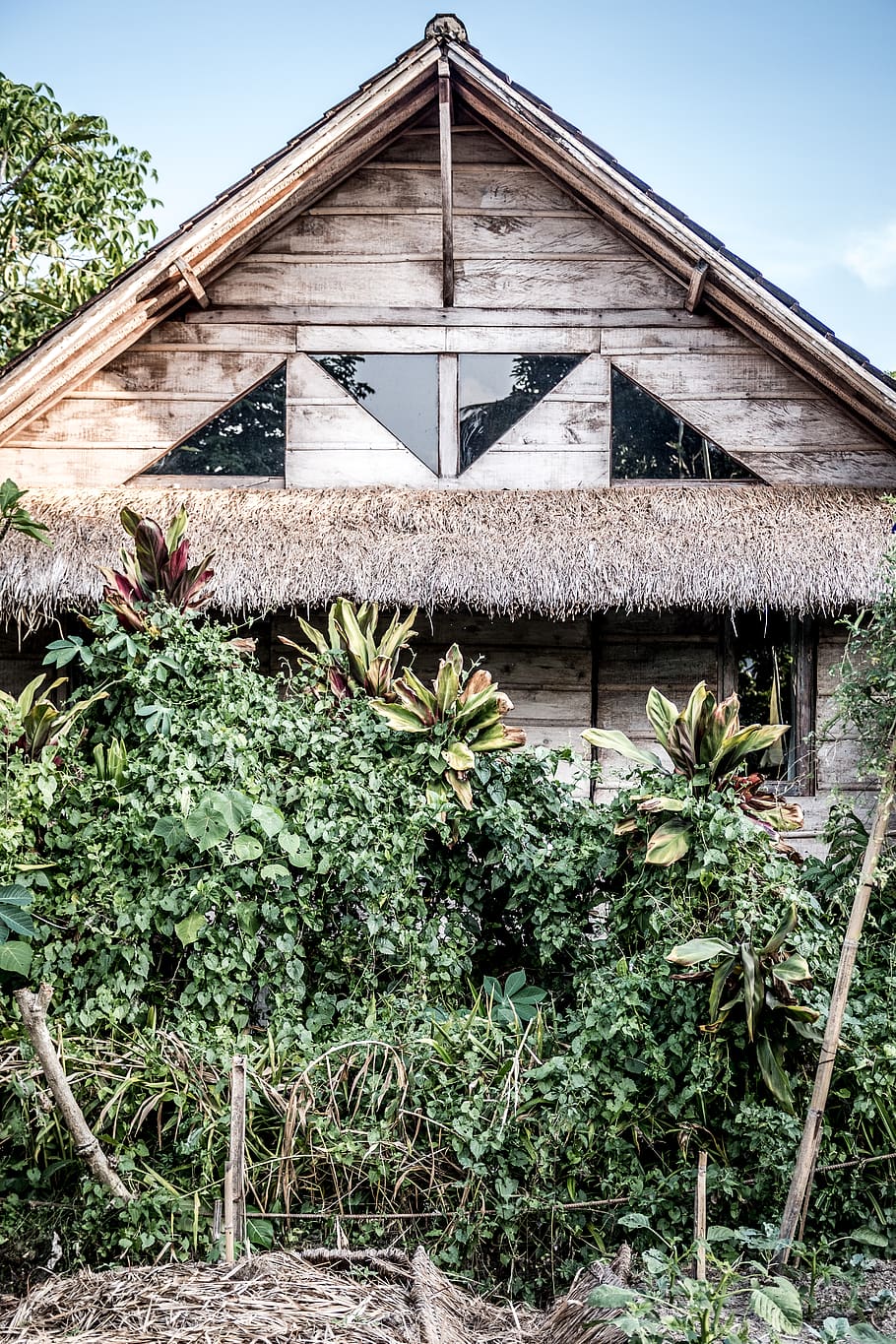 indonesia, ubud, rustic, building, architecture, garden, farm HD wallpaper